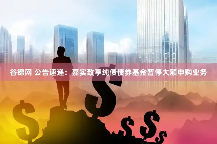 谷锦网 公告速递：嘉实致享纯债债券基金暂停大额申购业务